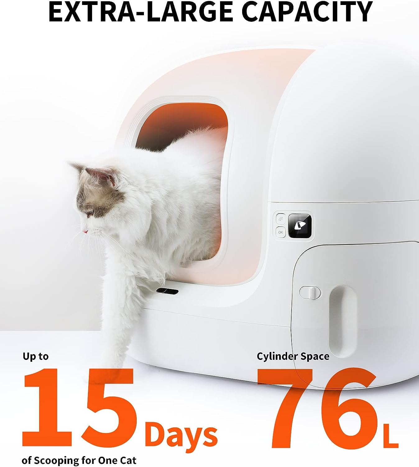 Top 10 Self Cleaning Litter Boxes 2024 Cat Litter Box   Self Cleaning Litter Box 